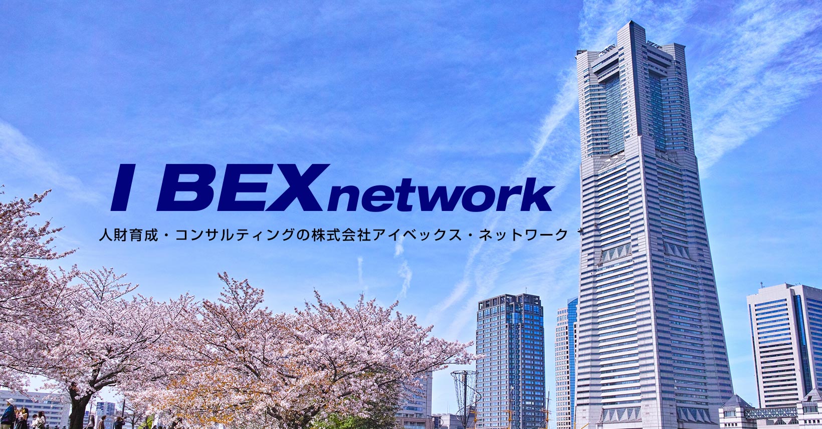 株式会社アイベックス・ネットワーク